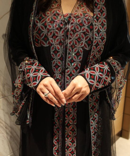Alternative view of Abaya1