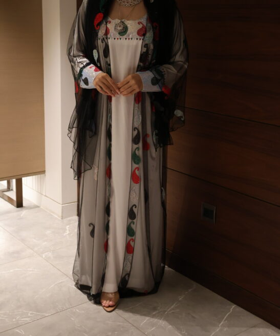 Alternative view of UAE11